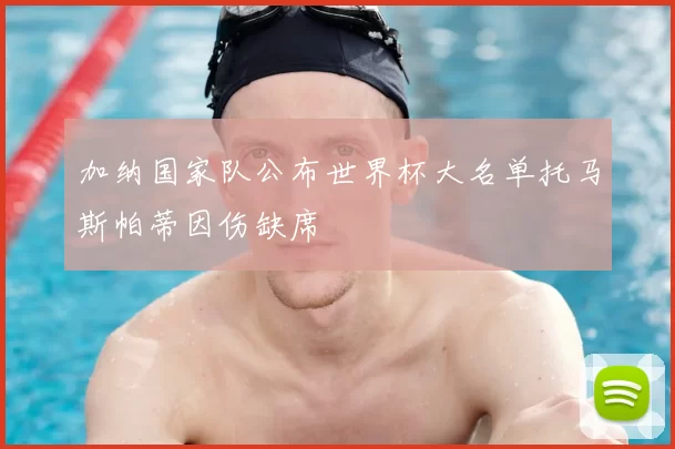 加纳国家队公布世界杯大名单托马斯帕蒂因伤缺席