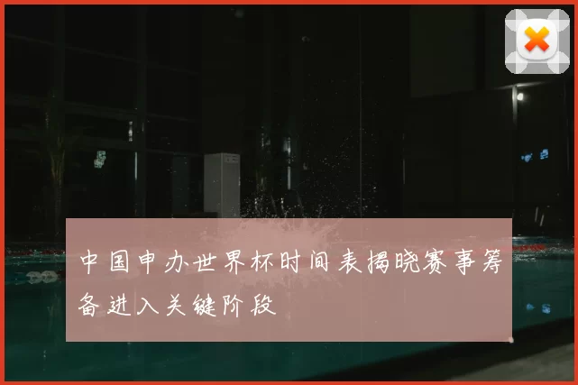 中国申办世界杯时间表揭晓赛事筹备进入关键阶段