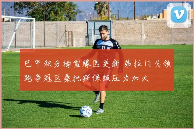 巴甲积分榜雪缘园更新 弗拉门戈领跑争冠区桑托斯保级压力加大